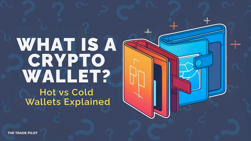 What Is a Crypto Wallet? Hot vs Cold Wallets Explained - Featured image for crypto trading article